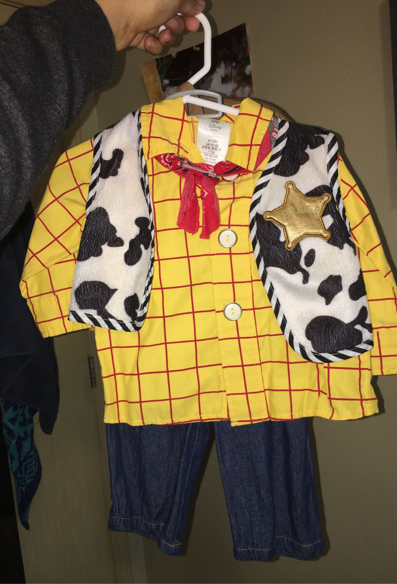 Woody costume