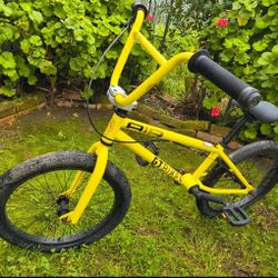 GT BIKE