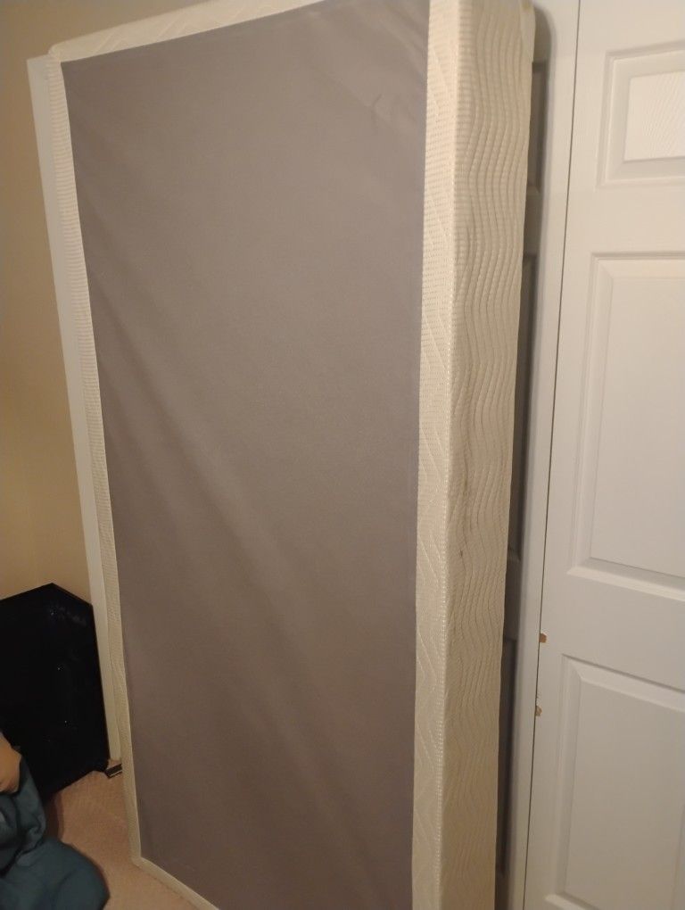 Twin Size Box Springs (Comfort Solutions) – $50 Each OBO (Tampa 33613)