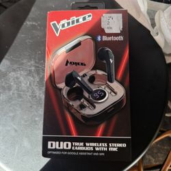 Voice Wireless Earbuds 