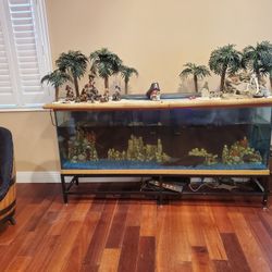 Free 125 Gallon Fish Tank 