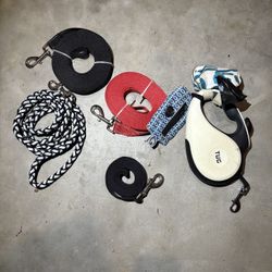 Dog Walking Leash And Leads 