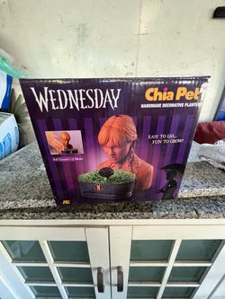 Wednesday Addams Chia Pet Handmade Decorative Planter