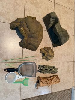 Reptile Accessories