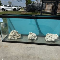 55 Gallon Tank