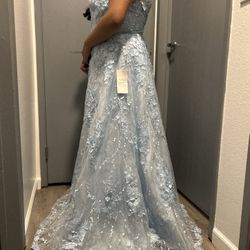 Jules & Cleo Dress, David’s Bridal, 3D Floral Tank Ball Gown, Ice Blue, Ven Style, Size 14
