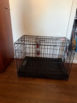 Kong dog cage