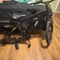 Electric Bike 
