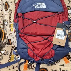 The Northface  Bag pack 