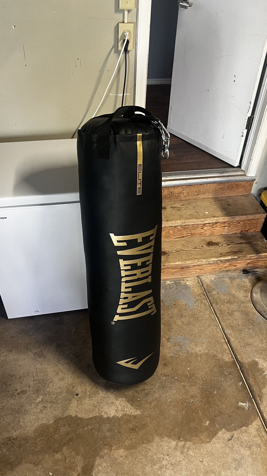 Everlast Punching Bag 100 lb