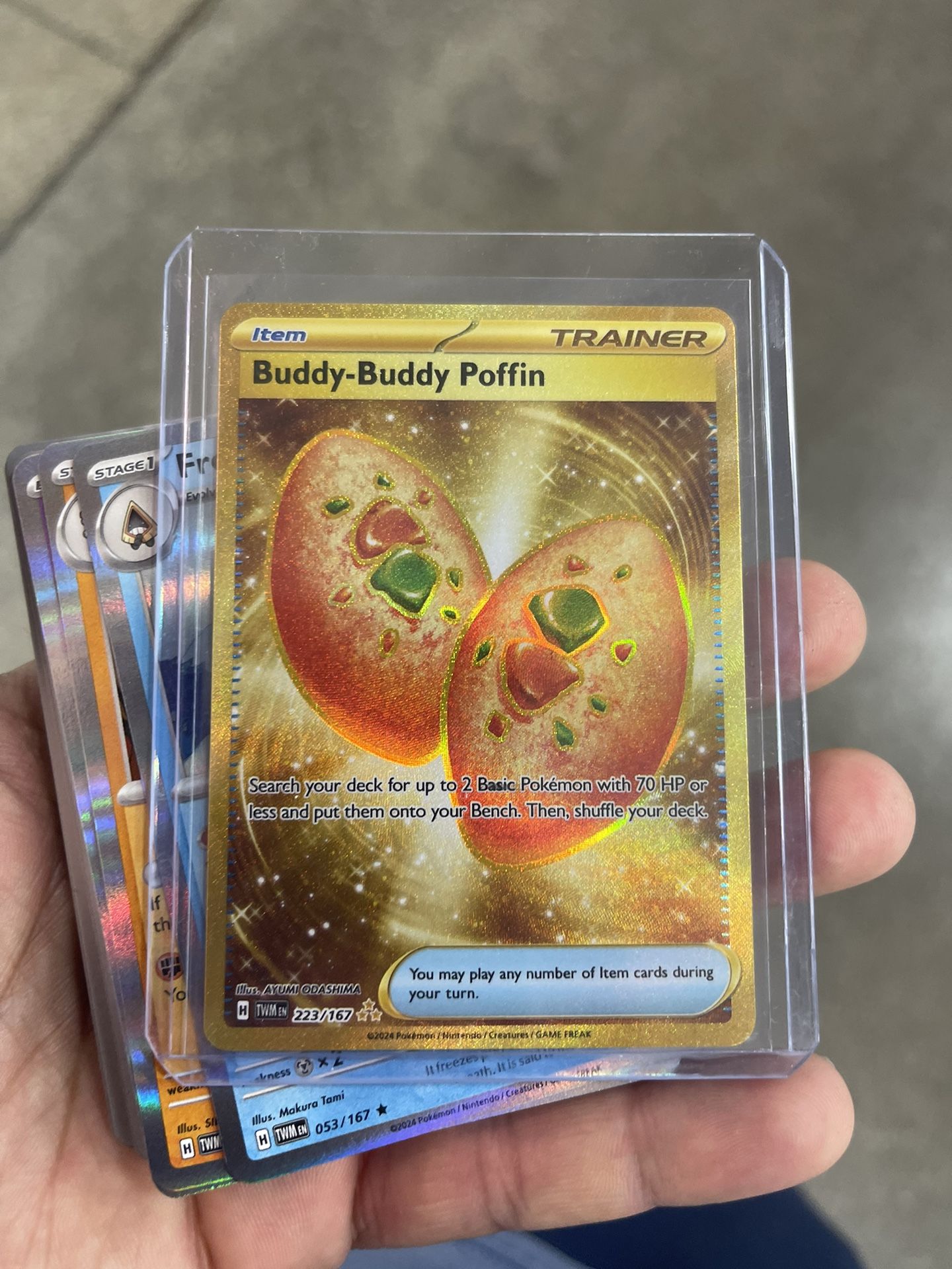 Buddy Buddy Puffin Pokemon