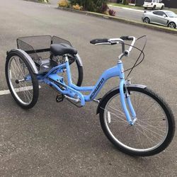 Adult Schwinn Tricycle