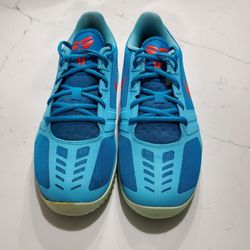 kobe mentality shoes price