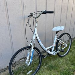 Specialized Expedition Cruiser Bike