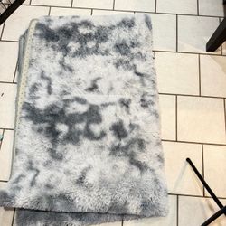 Carpet Rug