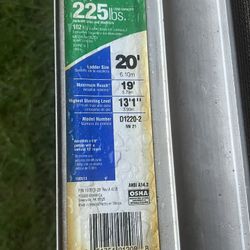 Werner 20 Ft Ladder 225 Lb Capacity