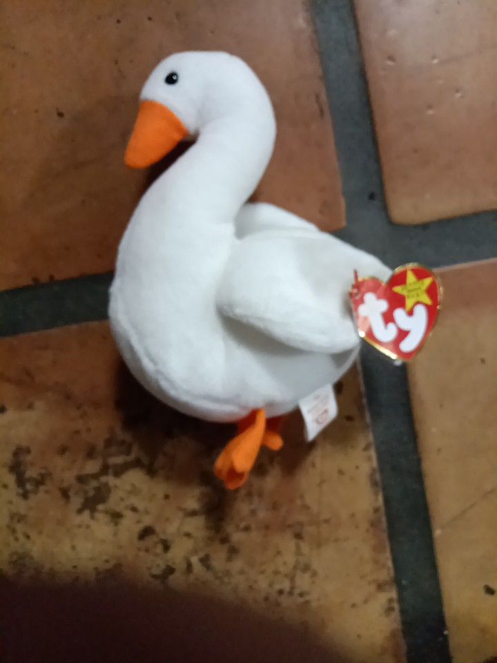 Gracie the dove Beanie Baby