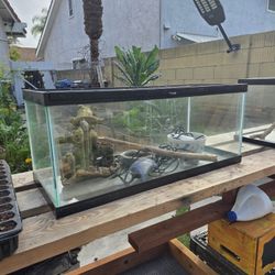 20 Gallon Long Reptile Tank 