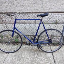 Large size Takara single speed road bike w/ flat bar/ freewheel