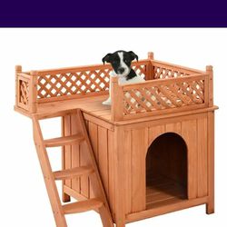 Dog Or Cat House