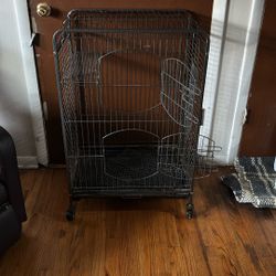 Bird, Rabbit, Ferret, Hamster, Chinchilla.. Ext. 