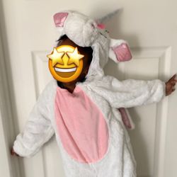 Costume- UNICORN (Used Only Once)