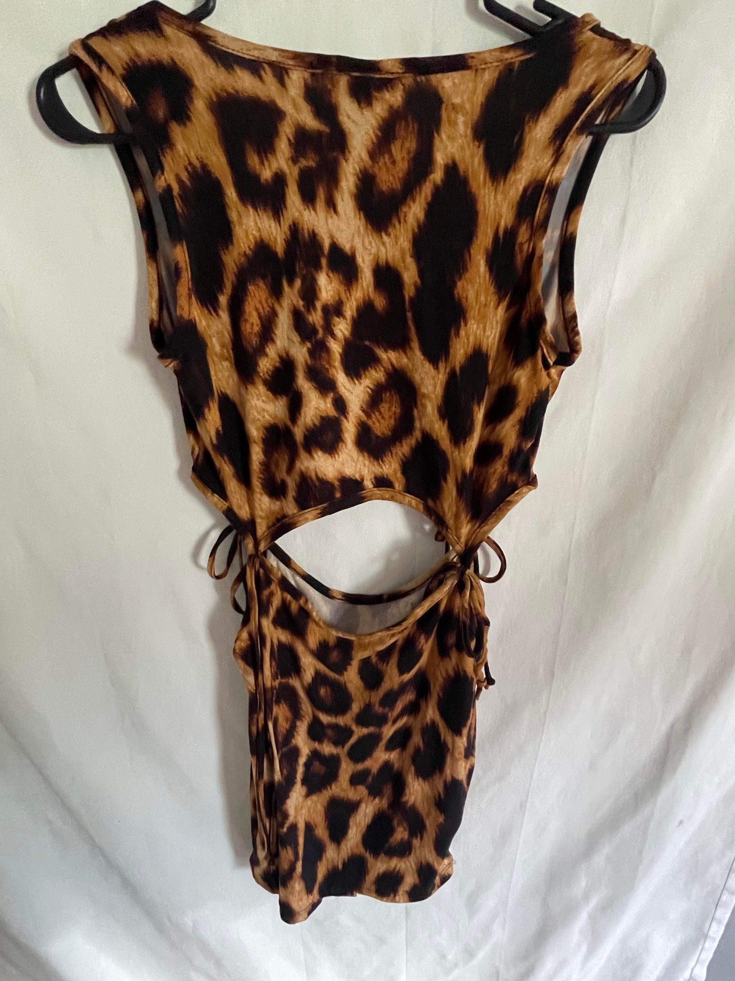 Cheetah 2 Pecies