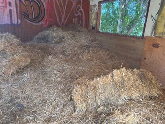 Straw
