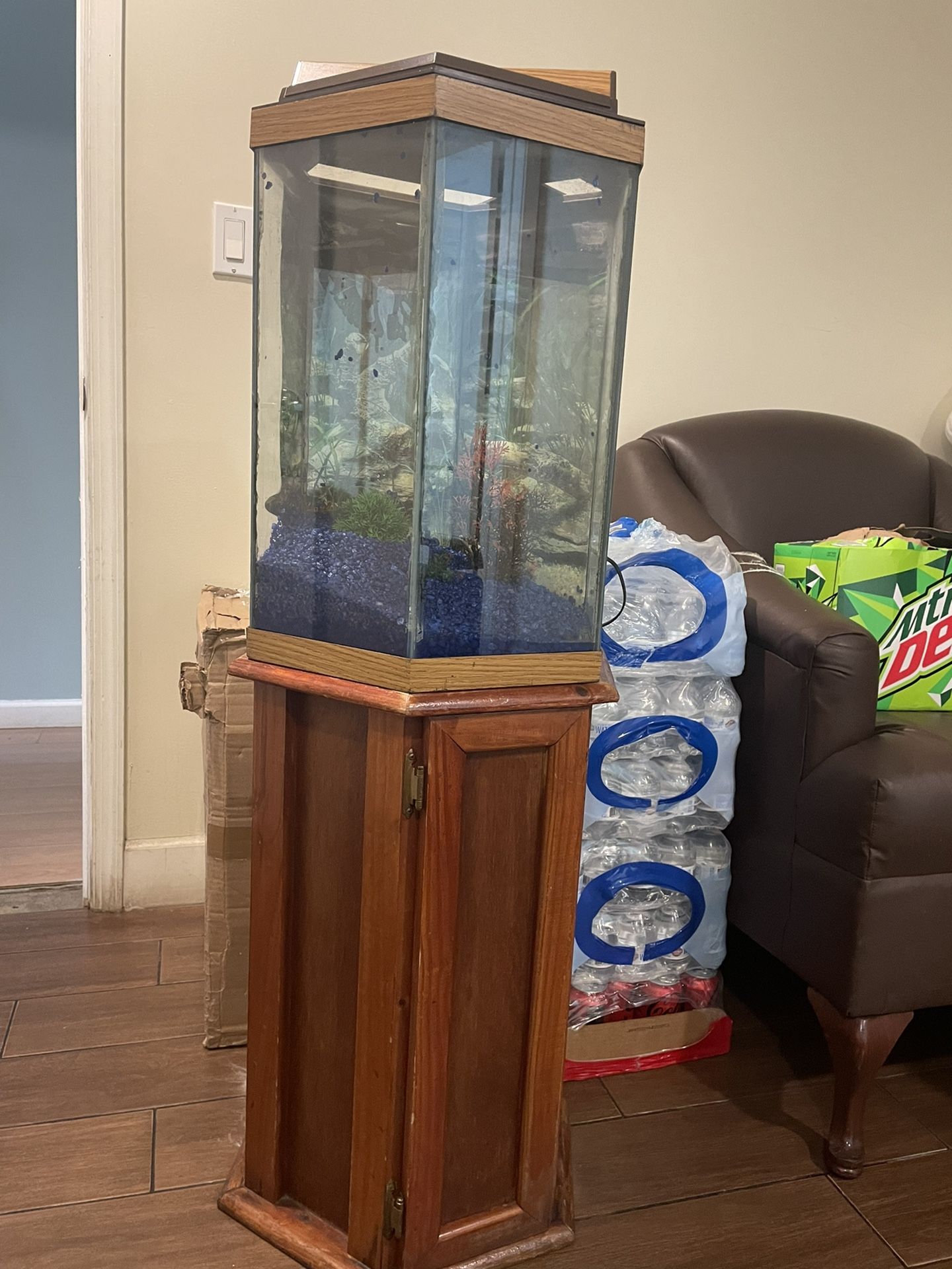 25 Gal Fish Tank With Stand, Filtration , And Gravel. 