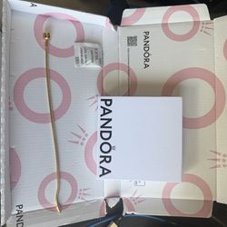 Pandora charm bracelet
