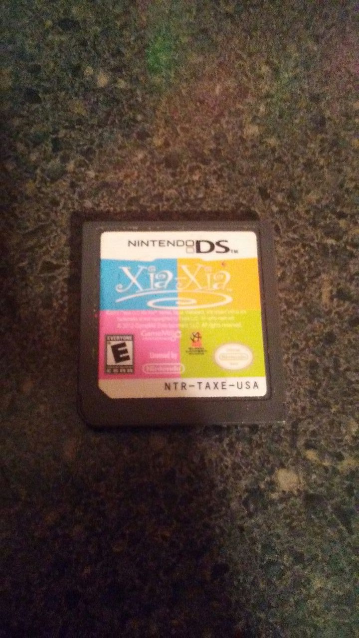 Nintendo DS game