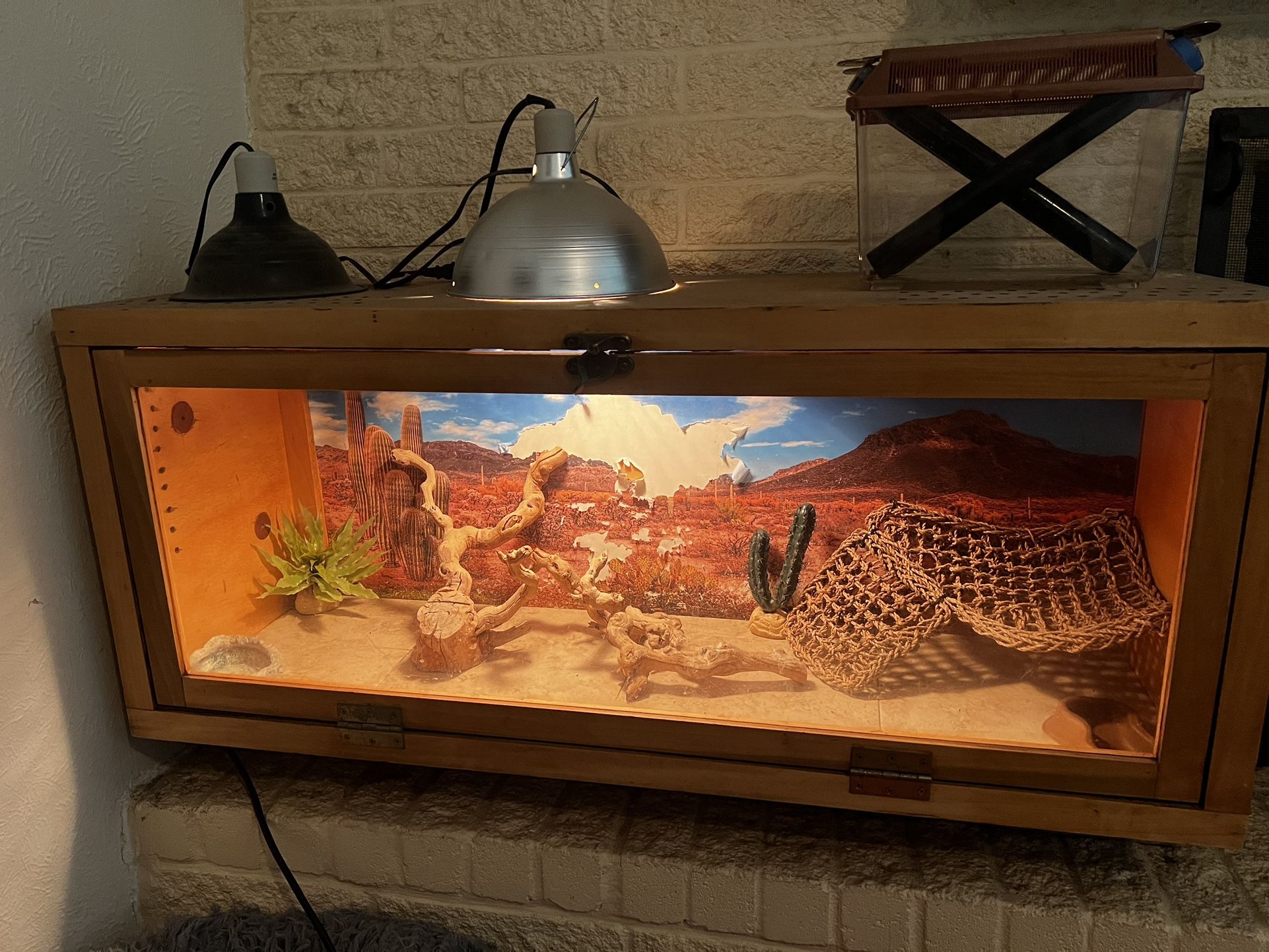 Custom Reptile Terrarium and Accessories 