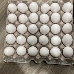 Medium eggs