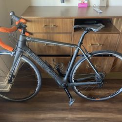 Litespeed L-3 Carbon Fiber Road Bike