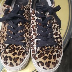Guess And Converse Shoes (Converse Are Sold)