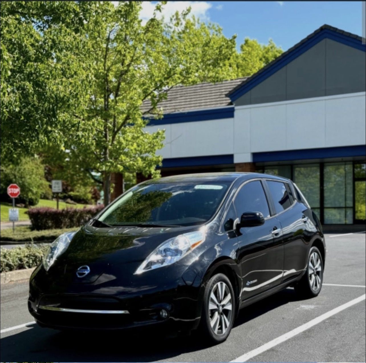 2014 Nissan Leaf