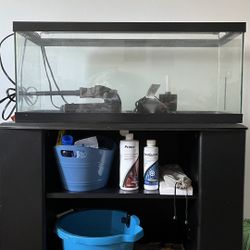 Used 20 Gallon Fish Tank W/ Everything