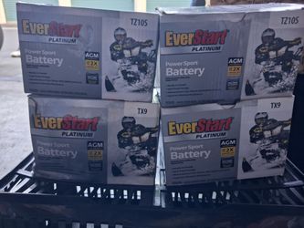Ever Start Platinum PowerSport 12v Battery