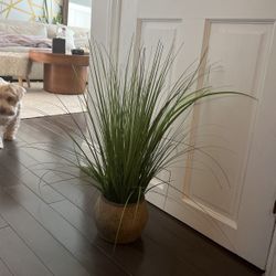 Faux Plant In Planter