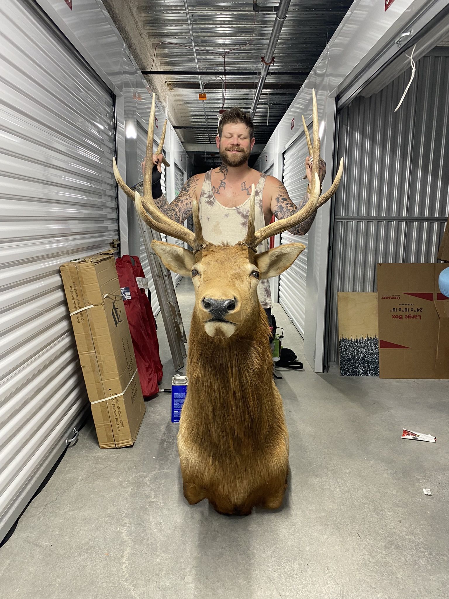 6x6 Trophy Elk
