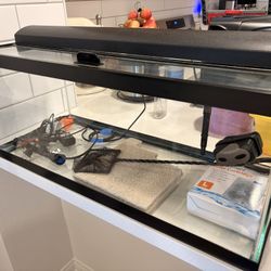 20Gallon Tank w/ Fish Set Up. 