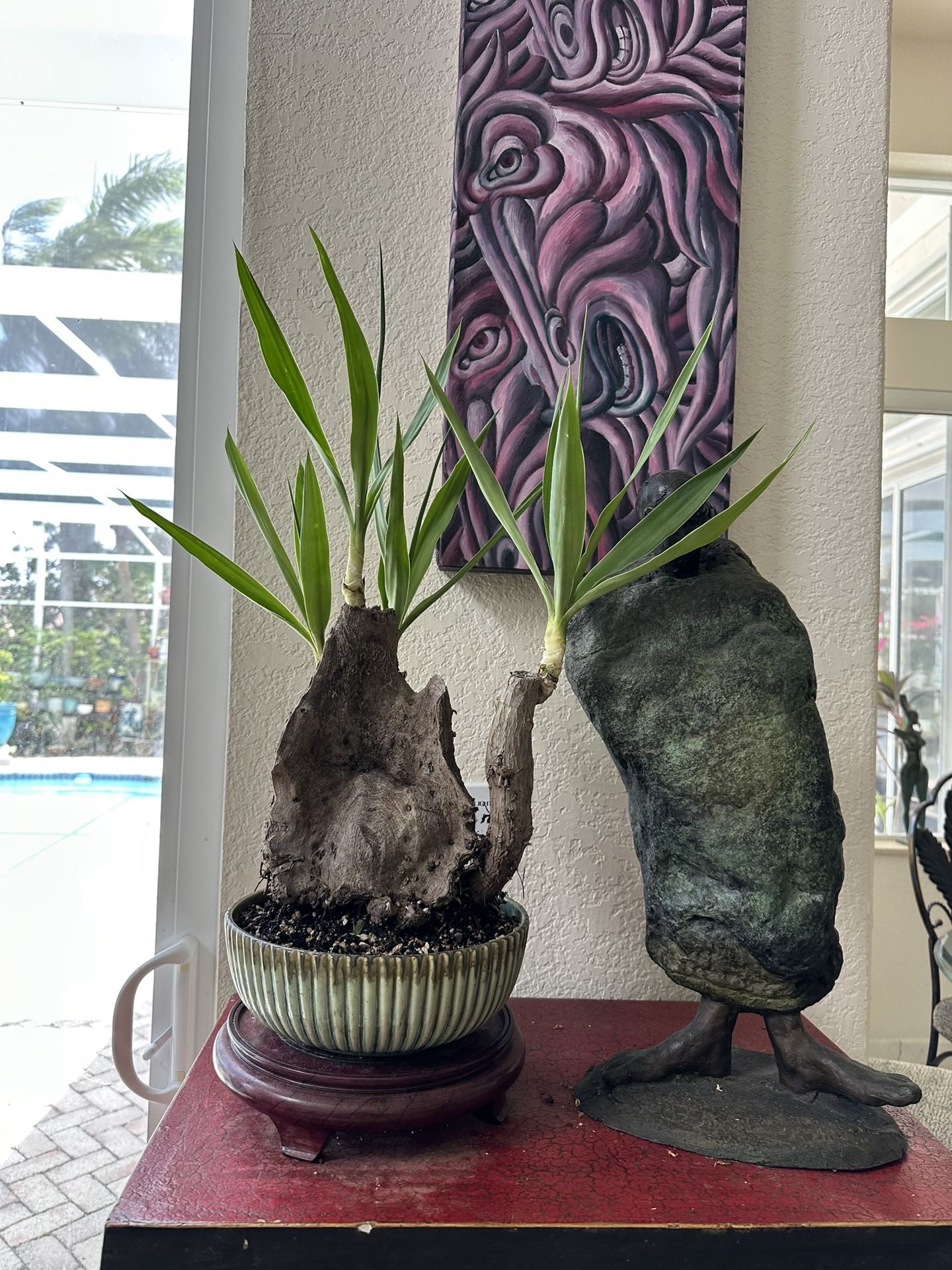 Tropical Plant Bonsai