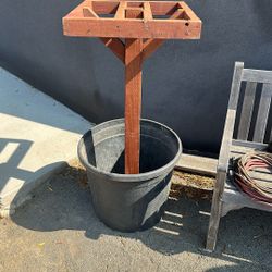 Dragon Fruit Trellis 20 Gallon Pot And 4-5 Foot Dragonfruit Plant. 