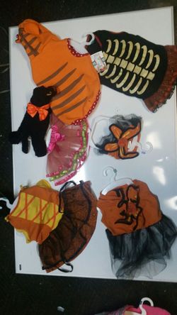 Dog Halloween outfits