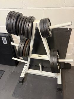 Linex Weight Rack and Bar