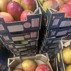 Boxes Of Mangos