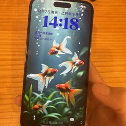 iphone 14 Pro Max 256GB