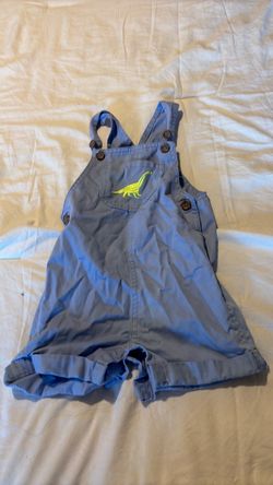 Baby Boy Blue Dinosaur Shortall Overalls