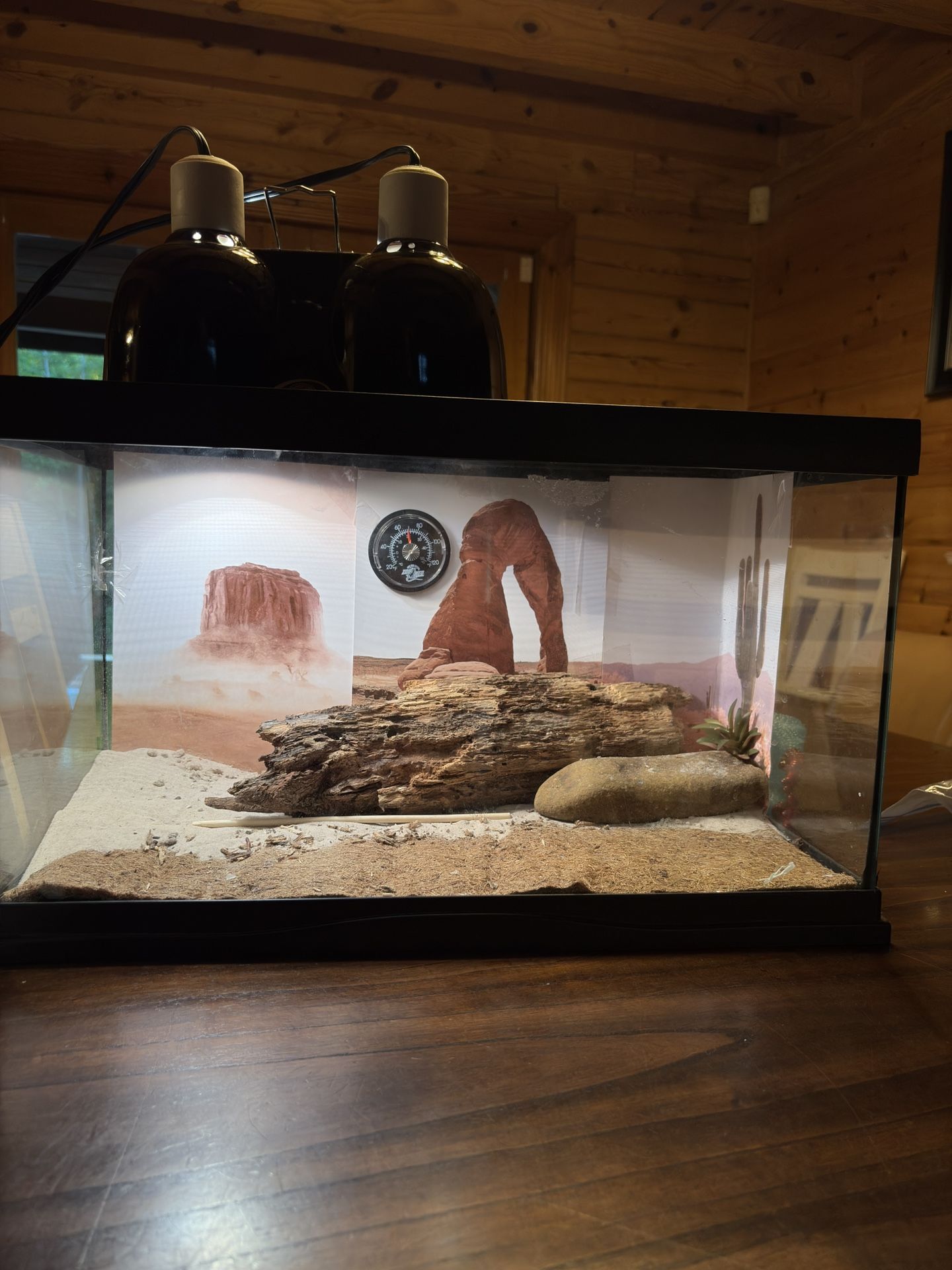 Reptile Enclosure 10gallon Last Used With Leopard Gecko