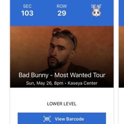 Bad Bunny Concert Tickets (Miami / Sunday)